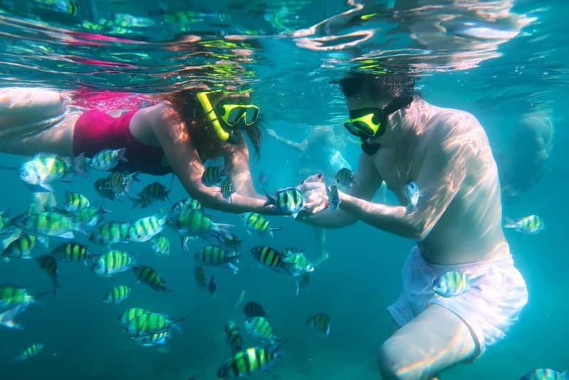 Phuket: Khai Islands Tour Or Scuba Diving Options - The third Khai stop and the return route