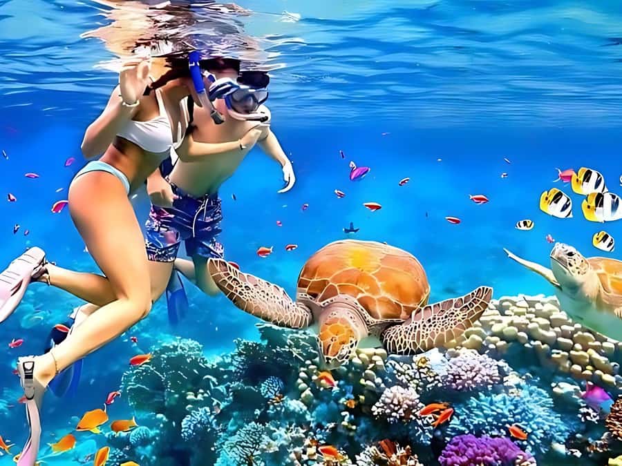 Phuket/Khao Lak: Similan Islands by Speedboat - The return trip ends with Southern Thai food