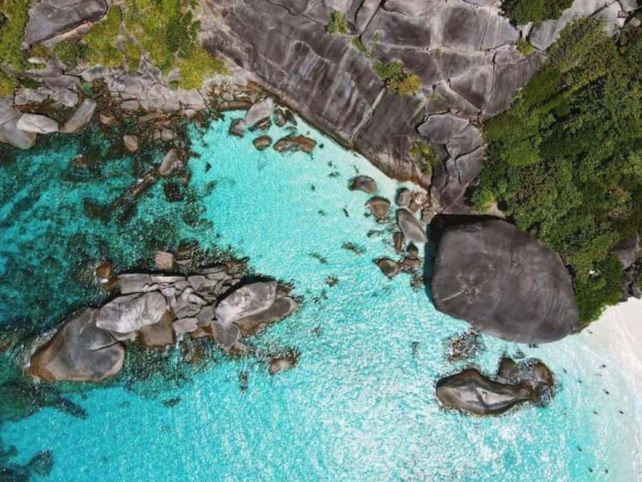 Phuket/Khao Lak: Similan Islands by Speedboat - Who should book this Similan Islands trip?