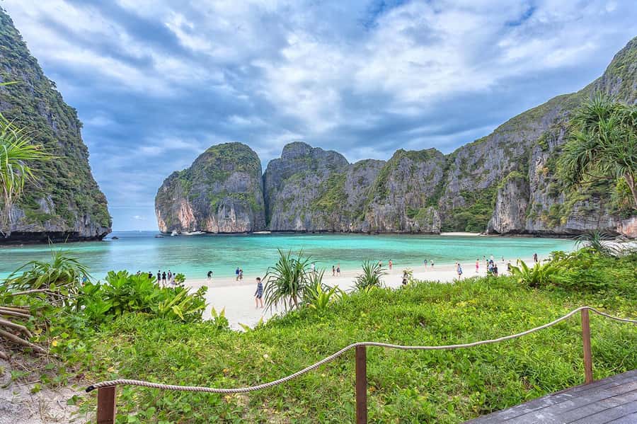 Phuket: Maya Bay, Phi Phi, Green, and Khai Islands Day Trip - Monkey Beach and the limits of wildlife encounters