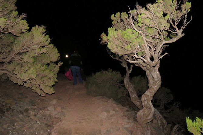 Pico Ruivo Sunrise Hike and 4x4 Island Tour from Funchal - Santana and the thatched-house stop