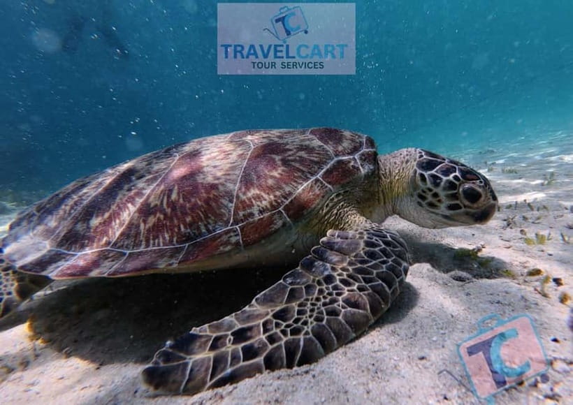PORT BARTON: Full-day Shared Island Hopping Tour A - Maxima and Exotic Islands: Beach Time First