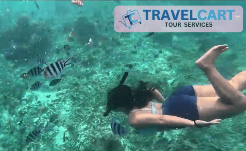 PORT BARTON: Full-day Shared Island Hopping Tour A - FAQ