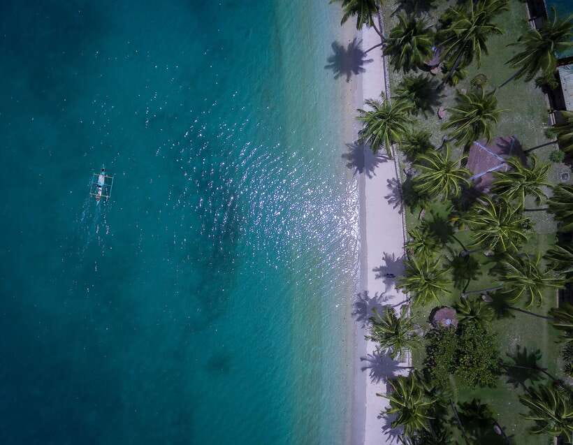 Port Barton: Island Hopping to Turtle Spot & Reef with Lunch - Snorkeling the reefs around Port Barton