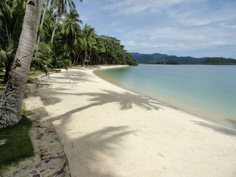 Port Barton: Island Hopping to Turtle Spot & Reef with Lunch - Exotic Island or Maxima Island for sand and swimming