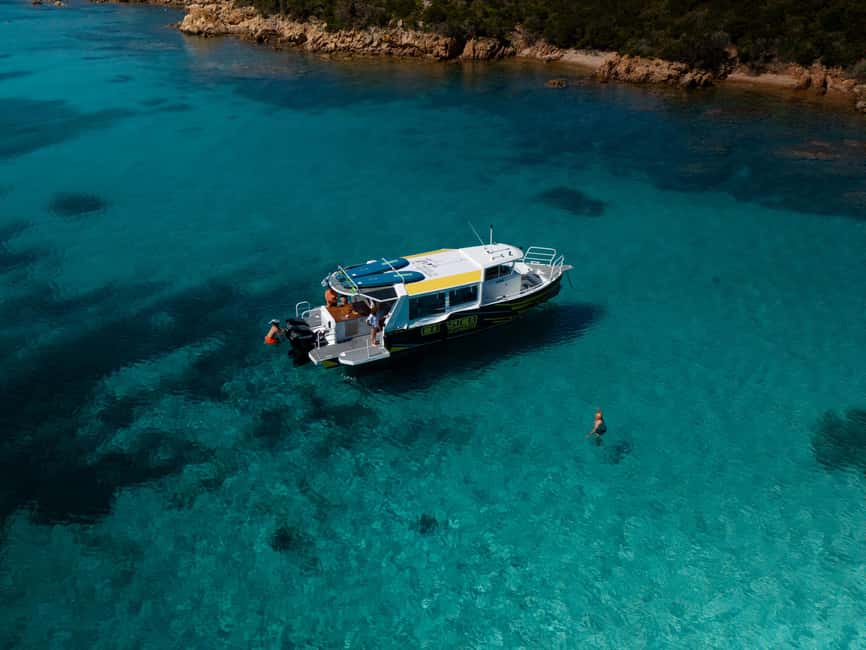 Porto Vecchio: Boat Tour to Maddalena Archipelago (Sardinia) - Toro Island starts the day with a swim