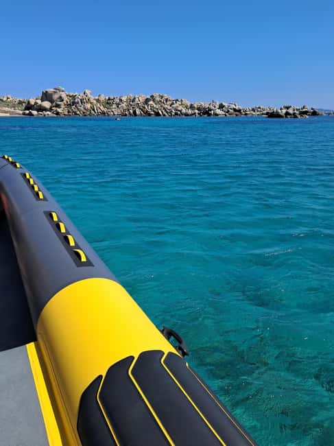 Porto-Vecchio: Lavezzi Archipelago & Cerbicales Island Tour - Cerbicales Islands: seabirds before swimmers
