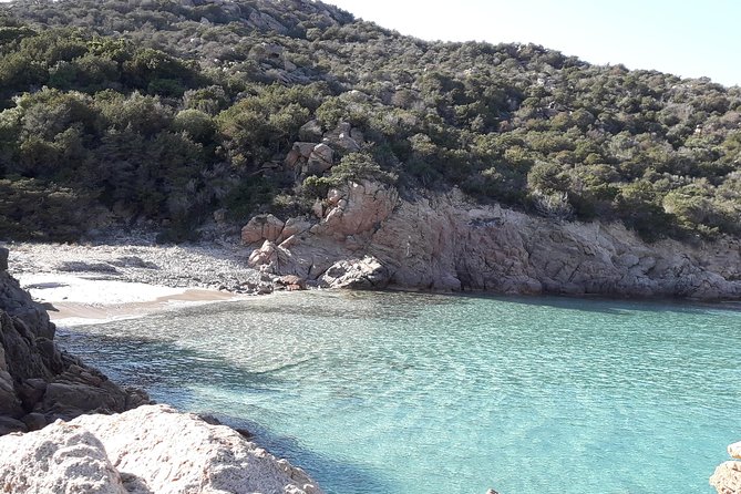 PREMIUM catamaran excursion archipelago of La Maddalena - How the price compares with other boat trips