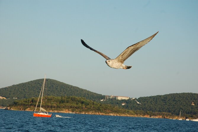 Princes' Islands Cruise with Lunch and Transfer Full-Day Tour - Timing problems and how to protect your day