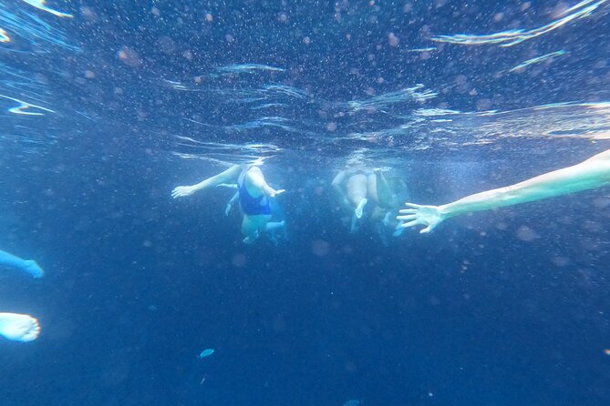 Private Blue Cave and Elaphiti Islands Half Day Tour - Why this four-hour boat trip works in Dubrovnik