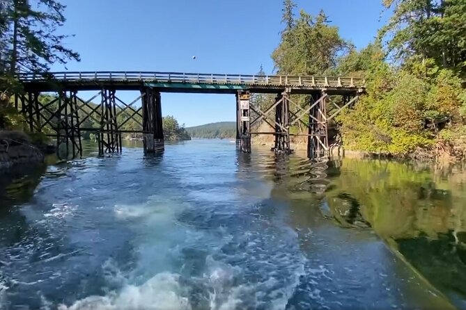 Private Boat Charter Explore Southern Gulf Islands Tour - Why the private format costs more