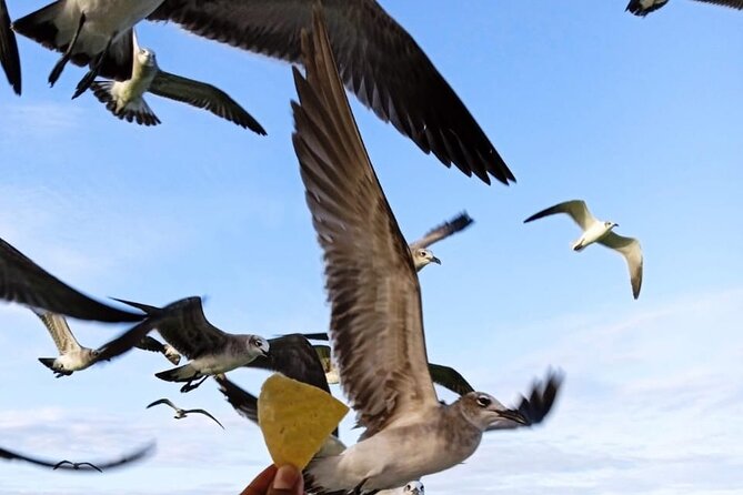 Private boat tour (3 islands tour) - Punta Mosquito: sandbanks and clear water