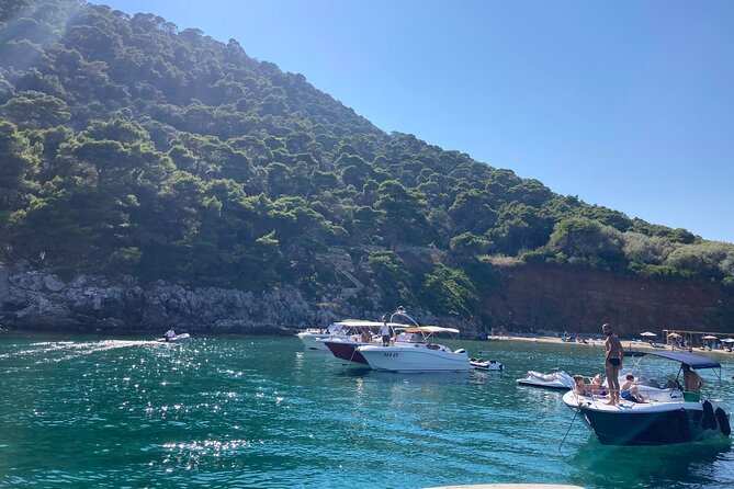 Private Boat Tour Dubrovnik and Elaphiti Islands - Who should book this experience