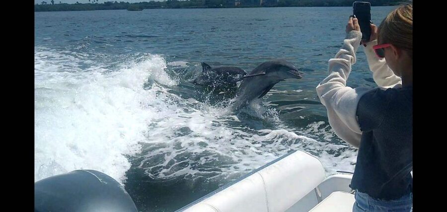 Private Boat Tour, Sunset Cruise, Island Hopping and more! - Sunset cruises and special moments