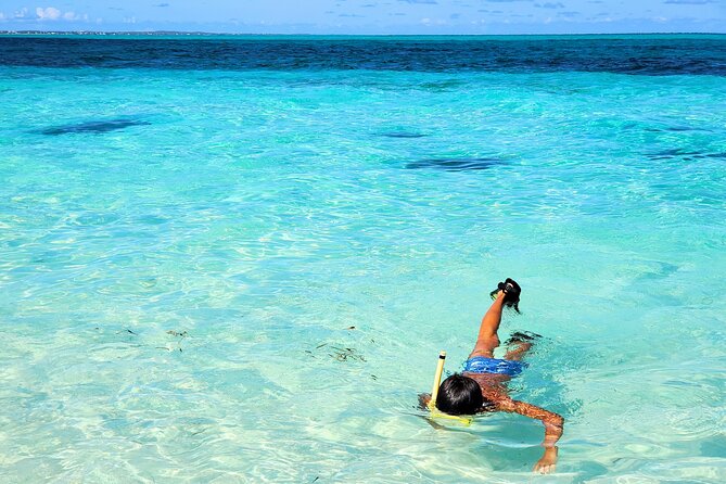Private Boat Tour with Snorkeling, Island Hopping, and Noahs Ark - Weather, timing, and practical planning