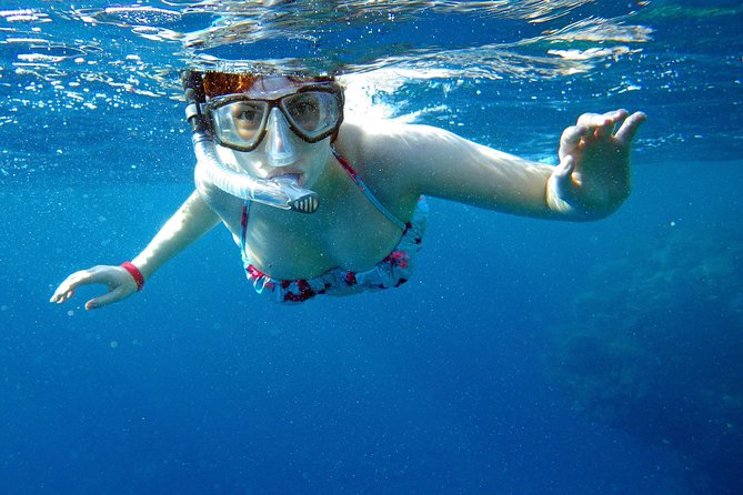 Private Boat Tours Dubrovnik Elaphiti islands & Blue cave - The Dubrovnik view from the water