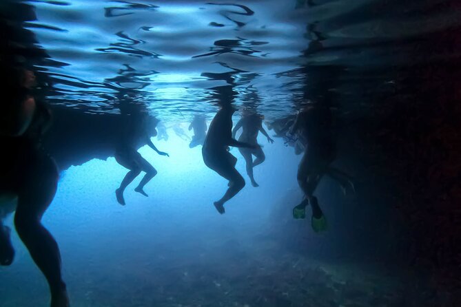 Private Half Day and Full Day Elaphiti Islands Tours - How the private format affects the day