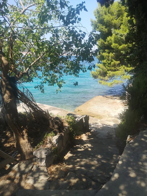 Private Island Hopping Boat tour around Zadar with Drinks - Should you book this private Zadar boat trip?