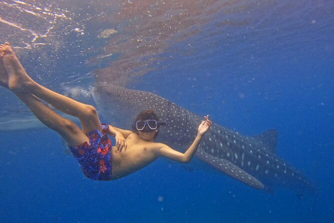 Private Island Hopping in Nasuluan, Hiltotongan and Caohngan - Caohagan Island, lunch, and a break from the water