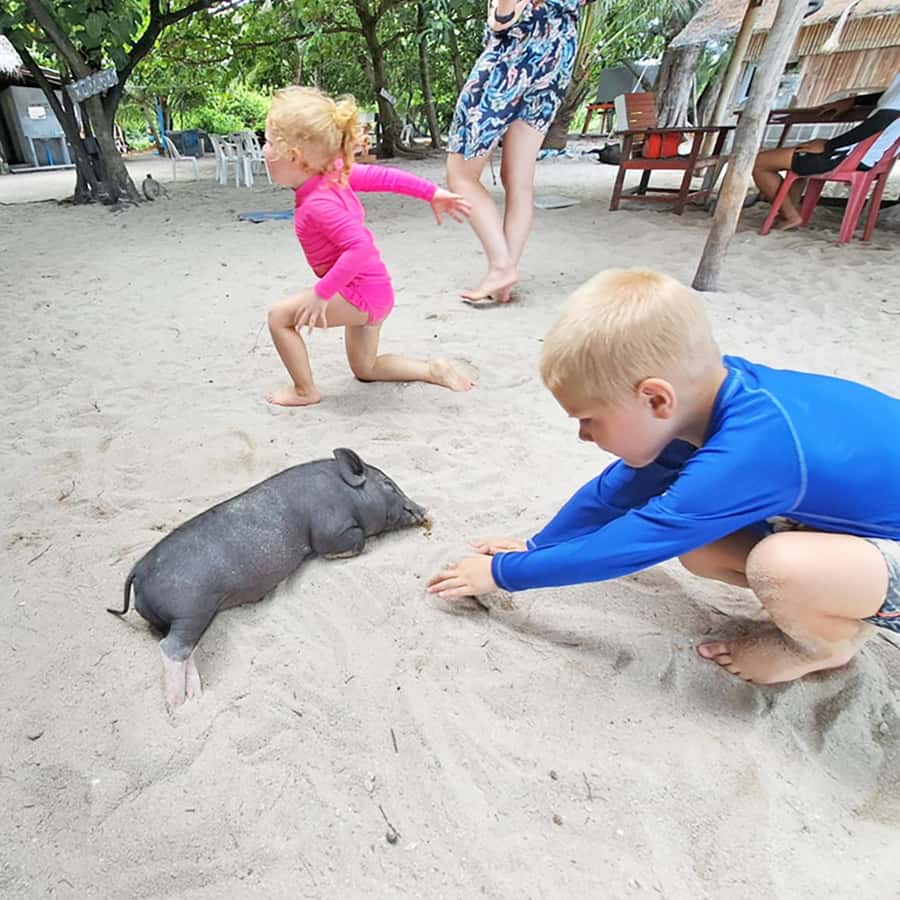 PRIVATE KOH SAMUI TOURS - SECRET ISLANDS BOAT TRIP - Snorkeling near Koh Tan