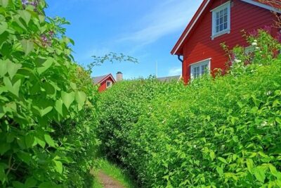 Private Oslofjord Island Hopping Tour