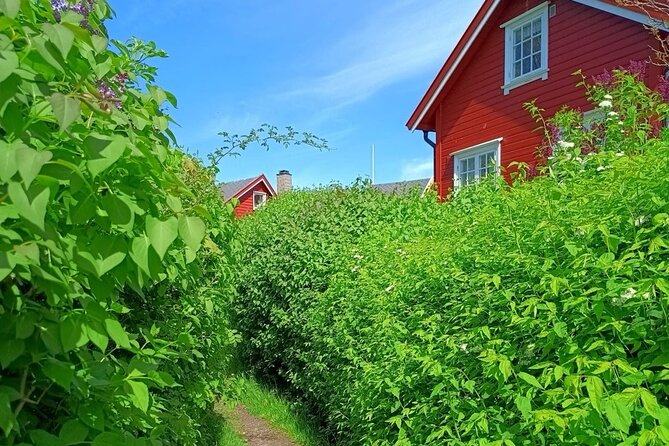Private Oslofjord Island Hopping Tour - Hovedøya: monastery stones, woods, and a possible swim