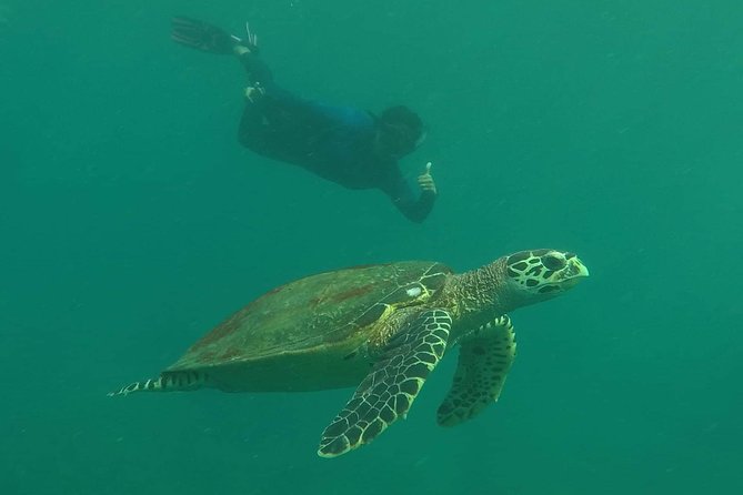 Private Phi Phi & 4 Islands Sunset Cruise by Speedboat - from Krabi - Monkey Beach and the nearby four islands