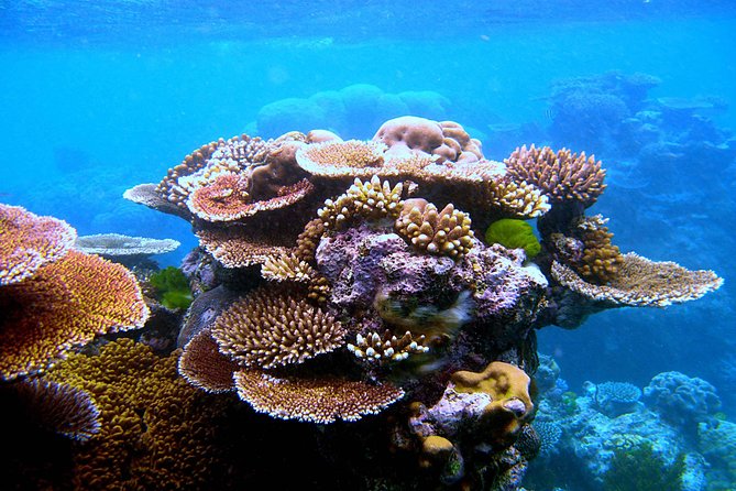 Private Phi Phi & 4 Islands Sunset Cruise by Speedboat - from Krabi - Food, drinks, and what is covered