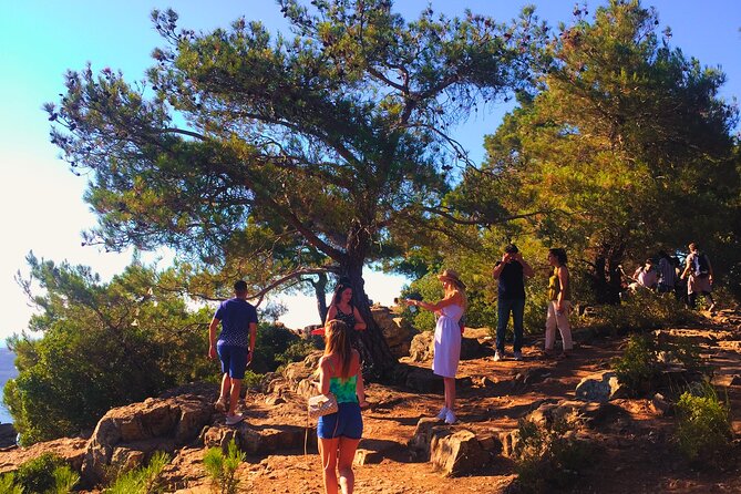 Private Princes' Islands Tour - Pine paths, coves, and the island’s birdlife