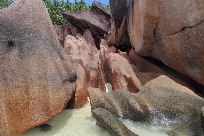 Private Seychelles Islands Tour by Boat with snacks & drinks - Snacks, drinks, and what to bring