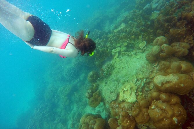 Private Speedboat Maiton, Racha, and Coral Islands Tour from Phuket - What this private Phuket island day is really like