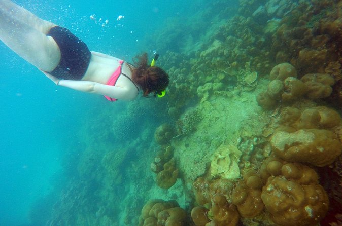 Private Speedboat Maiton, Racha, and Coral Islands Tour from Phuket - Maiton Island: a chance to watch for dolphins