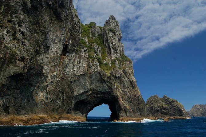 Private Tour: Bay of Islands Day Trip from Auckland - A big day from Auckland to the Bay of Islands