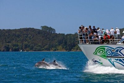 Private Tour: Bay of Islands Day Trip from Auckland