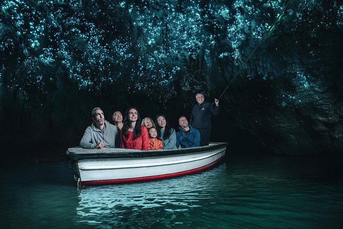 Private Tour: Bay of Islands Day Trip from Auckland - Paihia Harbour and the Hole in the Rock cruise