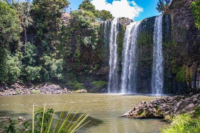 Private Tour: Bay of Islands Day Trip from Auckland - Price, extra fees, and the real value