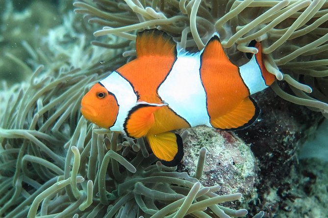 Private Tour to Hong Islands & 4 Islands with Sunset & Night Snorkel - Railay and Phra Nang are the evening finish