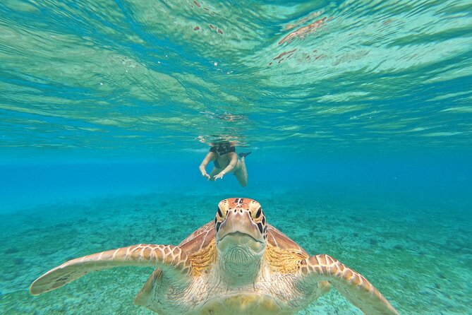 Public Snorkeling 3 Islands - Key points to know before you book