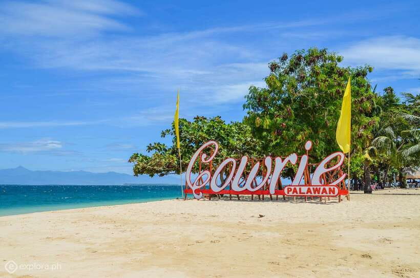 Puerto Princesa: Honda Bay Island Hopping & Optional Massage - Pambato Reef and the best chance to see fish