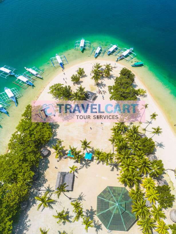 Puerto Princesa Honda Bay Island Hopping - Pambato Reef: the best stop for marine life