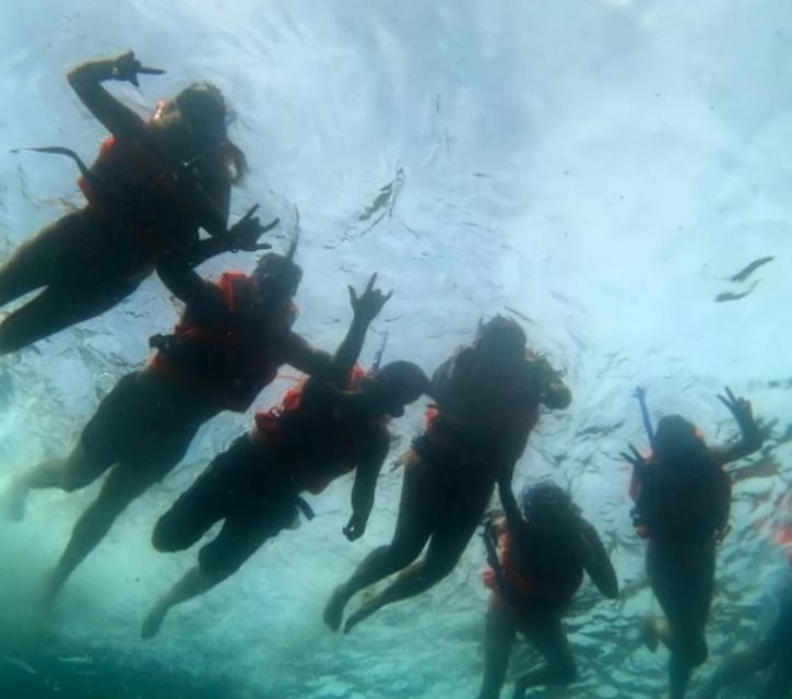 Puerto Vallarta: Los Arcos Islands Boat Tour and Snorkeling - The islands, caves, and nesting birds