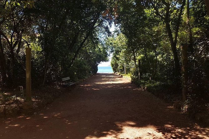 Rent a speed boat and explore beaches and coves of Elaphiti Islands - Comfort, swimming, and what to pack