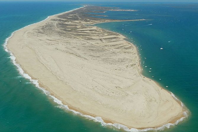 Ria Formosa - Boat trip to the 3 Islands: Armona | Culatra Island | Lighthouse - What the captain adds to the day