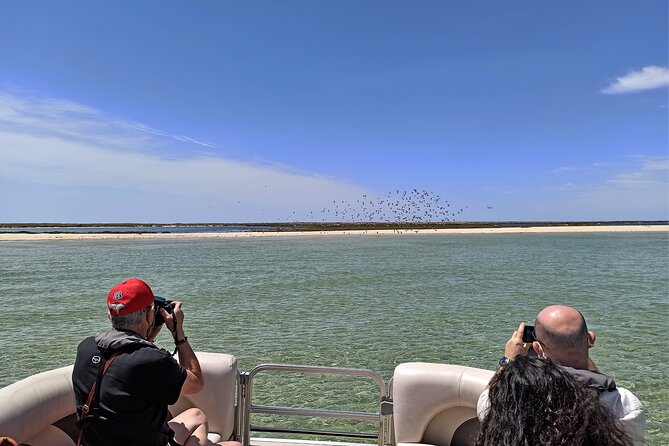 Ria Formosa Natural Park and Islands Boat Cruise from Faro - Barreta Island: dunes, shells, and open beach