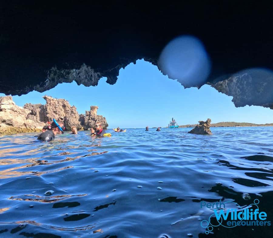 Rockingham: 3 Island Wildlife Snorkeling Cruise with Lunch - A wildlife morning built around three islands