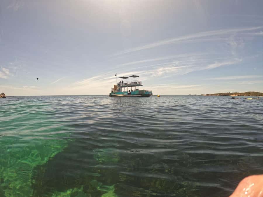 Rockingham: 3 Island Wildlife Snorkeling Cruise with Lunch - Snorkeling around Penguin, Seal, and Bird Islands