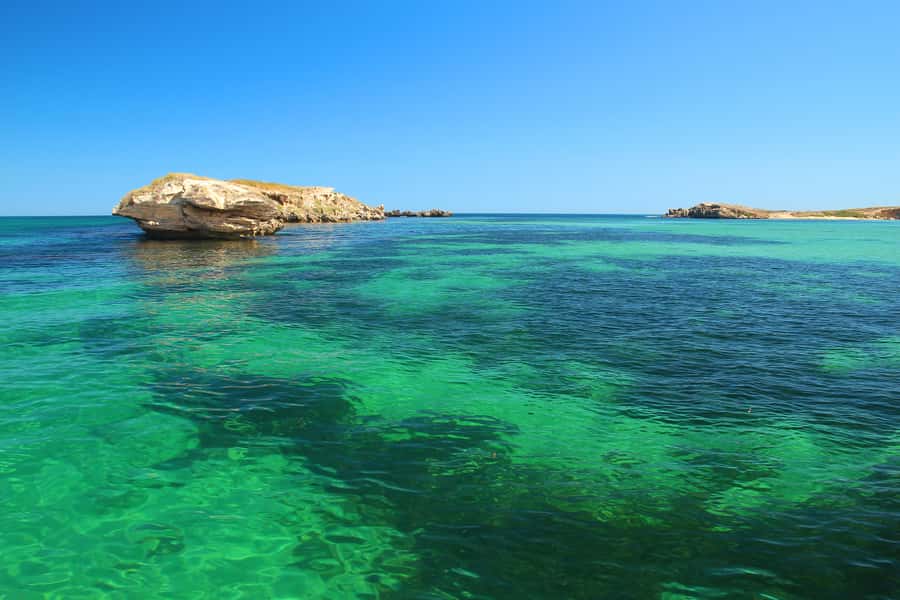 Rockingham: 3 Island Wildlife Snorkeling Cruise with Lunch - Is the $176 price fair?