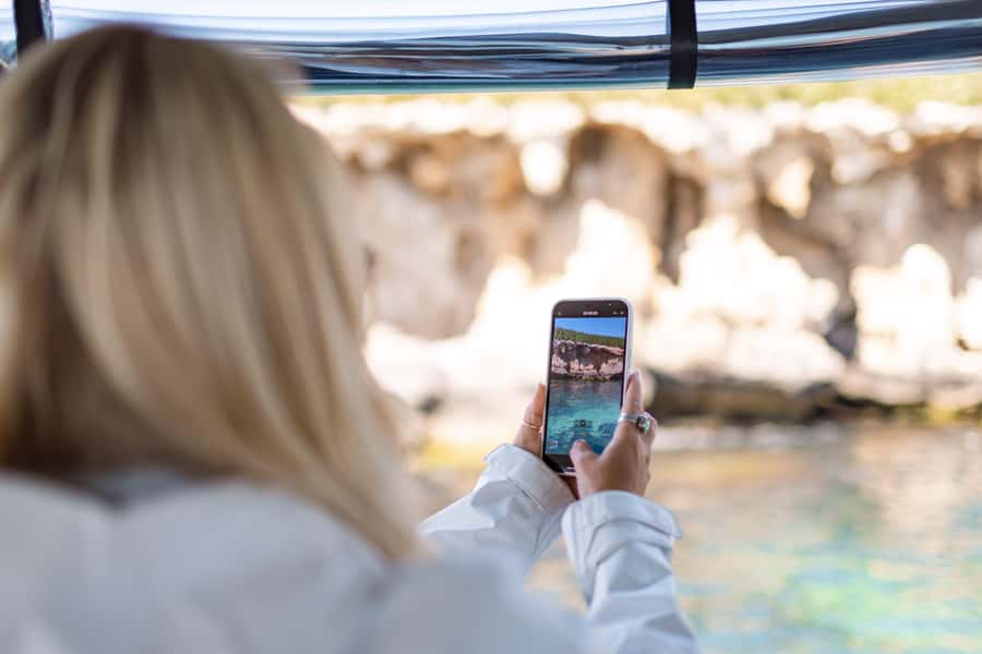 Rockingham: Shoalwater Islands, Dolphins, and Sea Lions Tour - Weather, closures, and the wild-animal factor