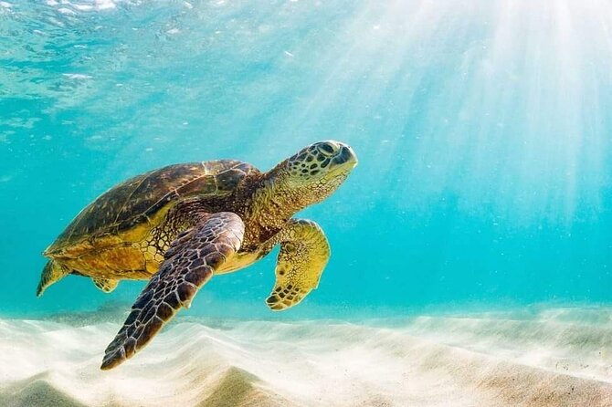 Rose Island 3 Island Luxury Private Tour(8hrs) - Boat, crew, and practical comfort