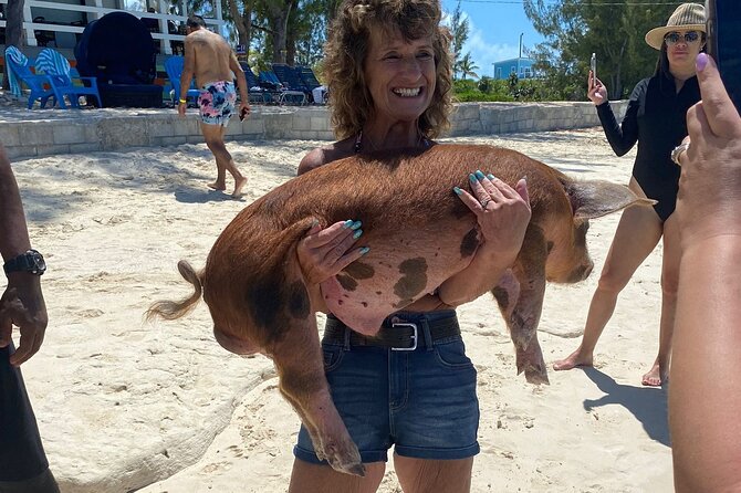 Rose Island 3 Island Luxury Private Tour(8hrs) - Green Turtle Cay: a short ride and a slower wildlife stop